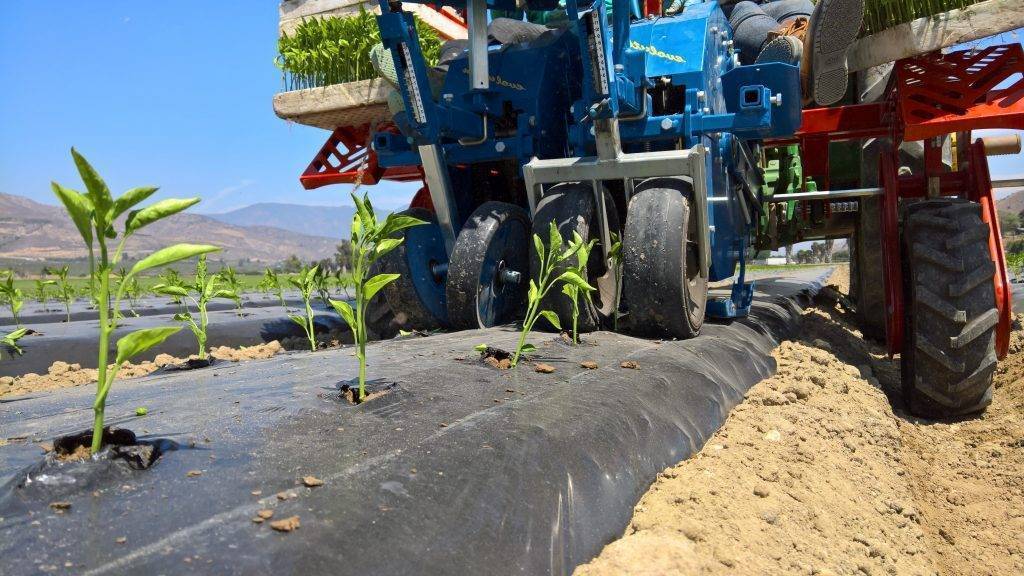 Ferrari-Acolchado|Ferrari Film Layer|Acolchados Bio